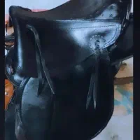 مبل میخوای فقط همین زین|اسب و تجهیزات اسب‌سواری|امامزاده عبدالله, |دیوار