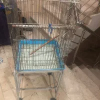 قفس