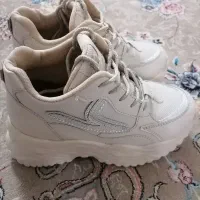 فروش کفش اسپرت|کیف، کفش، کمربند|یزد, |دیوار