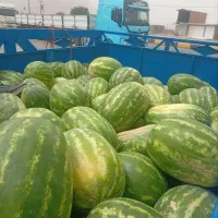 هندوانه