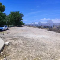 فروش ۱۵هزارمتر زمین کشاورزی گلخانه ویلاسازی پیشوا|فروش دفتر صنعتی، کشاورزی، تجاری|جوادآباد, |دیوار