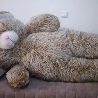 عروسک پشمالو خرسی بزرگ|اسباببازی|تهران, جوادیه|دیوار