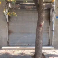 اجاره مغازه ۱۲ متری