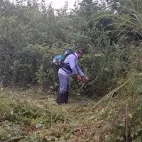 انجام چمن زنی حیاط