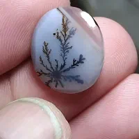 سنگ شجر|جواهرات|اراک, |دیوار