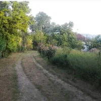 1-هکتار-زمین-خانه-ویلایی-در-لاهیجان-سند-تک-برگ