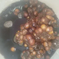 ترشی سیر هفت ساله ارگانیک
