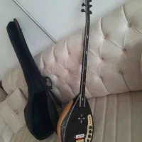 باغلمه الکترونیکی