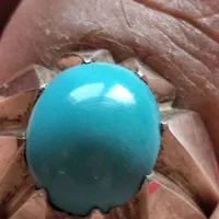 فیروزه عجمی