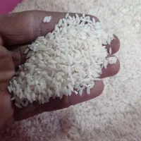 برنج چمپا میداود|خوردنی و آشامیدنی|رامهرمز, |دیوار