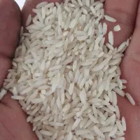 برنج علی کاظمی تضمینی برای پخت