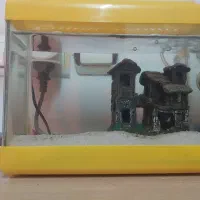 اکواریوم با پمپ|ماهی|بندر انزلی, معلم|دیوار