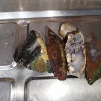 سنگ های شجر خوب