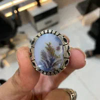 شجر بی همتا