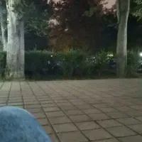 جویای کار هستم