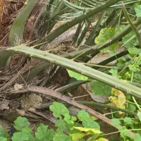 گفتار محمد خلیلی اصل