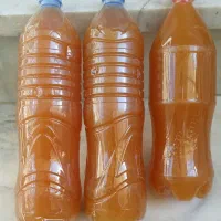 ابغوره ،رب الوچه