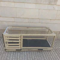 فقس بلدرچین پرندگان کوچک