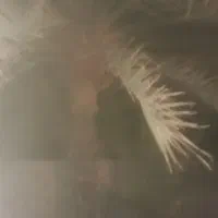 خوشه بری