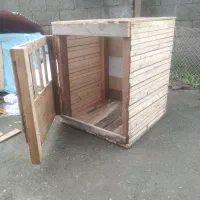 لونه خروس مرغ ساخت انواع لونه