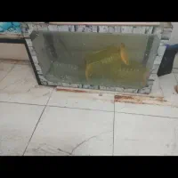 آکواریم شیشه ایی بزرگ و کوچک|ماهی|خرمآباد, |دیوار