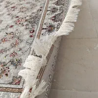 فرش 6متری|فرش|کرمانشاه, |دیوار