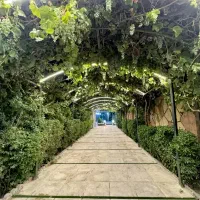 مژدگانی.مژدگانی ۵ عدد شناسنامه گم شده.