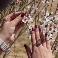 کلیه خدمات ناخن فقط ۳۰۰ تومان