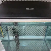 آکواریوم کامل دلسا همراه با ماهی|ماهی|فردیس, شهرک وحدت|دیوار