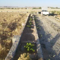 باغ|فروش دفتر صنعتی، کشاورزی، تجاری|بروجن, |دیوار