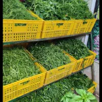 فروشگاه ریحان سبز پرند|خوردنی و آشامیدنی|پرند, فاز ۲|دیوار