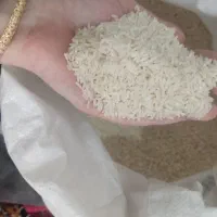 برنج طارم هاشمی 60کیلو خوشبو و خوش پخت