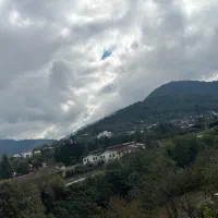 اجاره آپارتمان شیرگاه|اجارهٔ آپارتمان|شیرگاه, |دیوار