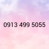 09134995055