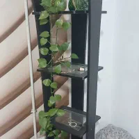 بوفه.ویترین