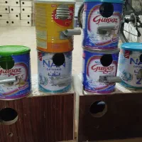 فروش لانه مرغ عشق و فنچ