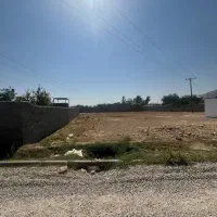 باغ-سربندان-تک-برگ-سند-قابل-معاوضه