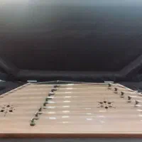 سنتوردومهره حمیدموسوی