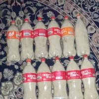بذر هلندی گوجه ای|گل و گیاه طبیعی|کرمانشاه, |دیوار