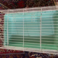 قفس خرگوش و همستر|لوازم جانبی حیوانات|تالش, هشتپر|دیوار