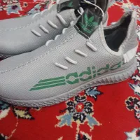 کفش|کیف، کفش، کمربند|شیراز, کفترک|دیوار