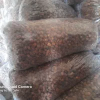 خرما انواع صنعتی ش|عمدهفروشی|کارون, |دیوار