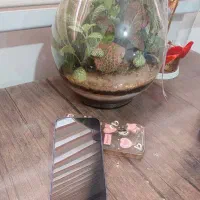 آیفون ۱۳/۱۳نرمال/ایفون/اپل ۱۳