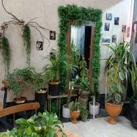 قهوه هیلان یک فنجان حال خوب|خدمات پذیرایی، مراسم|کهریزک, |دیوار