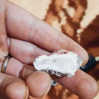 سنگ انگشتر شجر یا عقیق