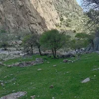 زمین-مسکونی-زرگران-مرودشت