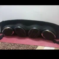 باند پایونر و ویسون