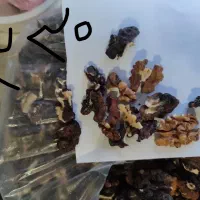 مغز گردو امسالی پر چرب تویسرکان|خوردنی و آشامیدنی|رشت, پارک شهر|دیوار