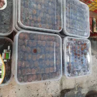 استخدام کارگر ساده