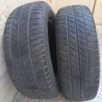 لاستیک|قطعات یدکی و لوازم جانبی|مشکین‌دشت, |دیوار